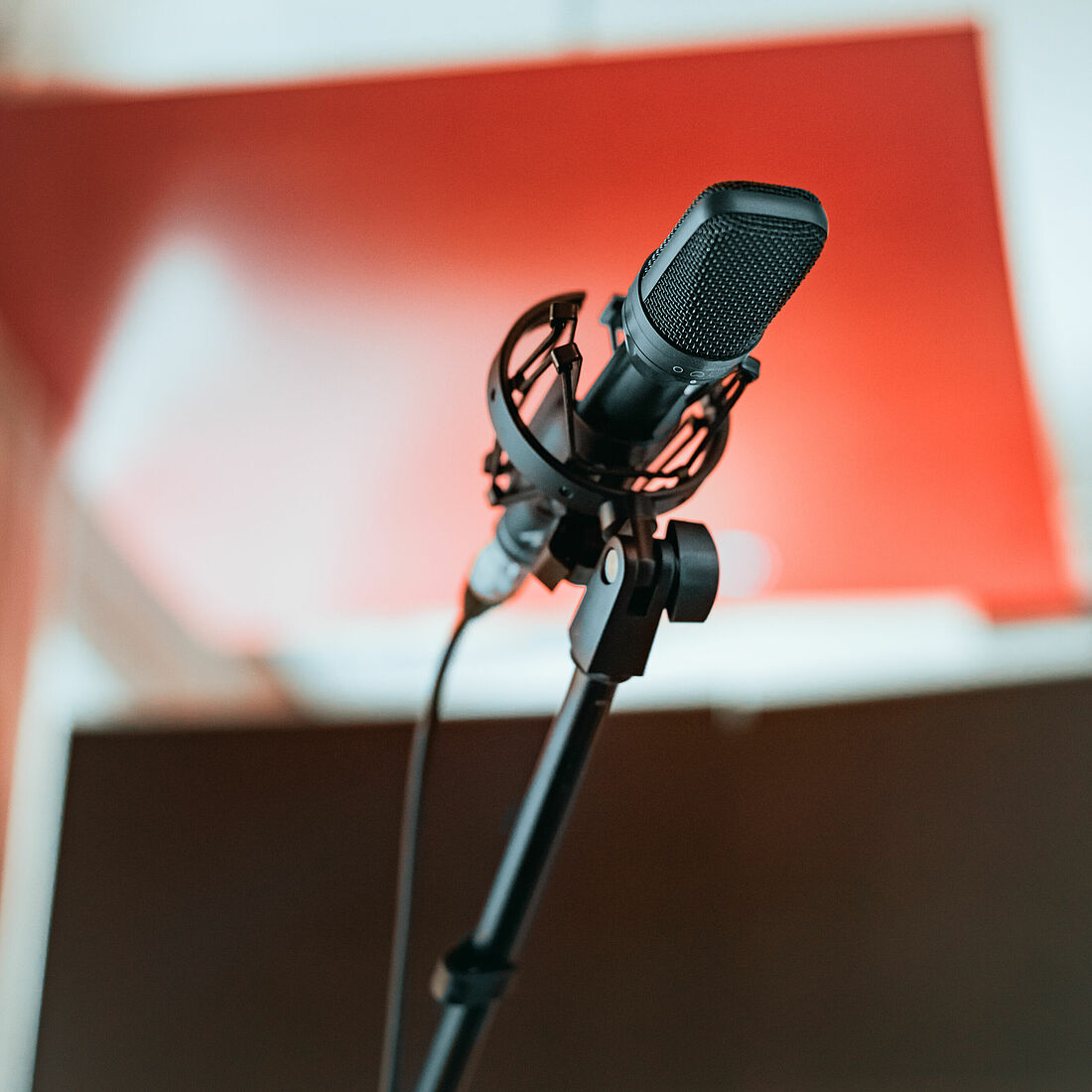 Green Lobster Recording Studios Microphones